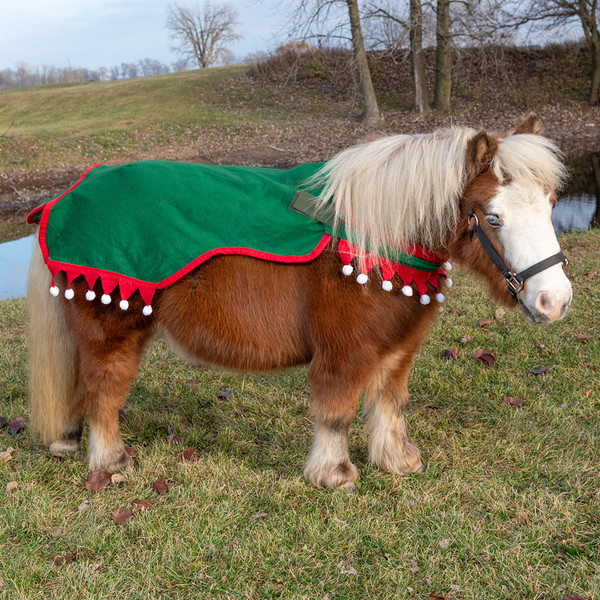 horse christmas dress up ideas Christmas Horse & Pony Fancy Dress