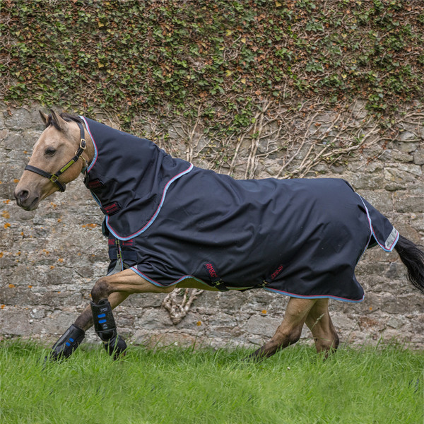 Amigo Bravo 12 Plus Pony Lite Turnout Blanket - 0g Nigeria | Ubuy
