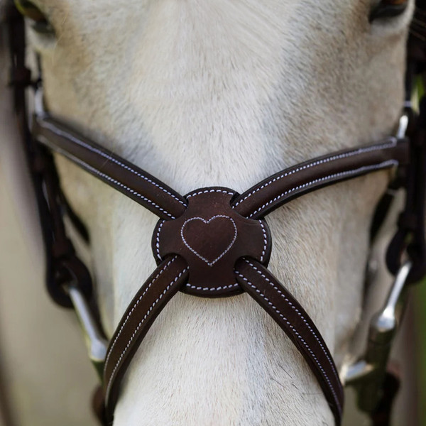Belle and Bow Pony Chambon main image 1