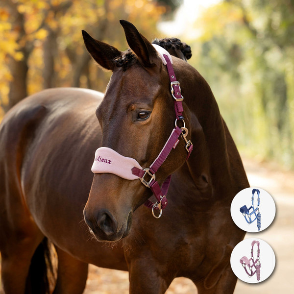 LeMieux Vogue Headcollar & Leadrope, Pony Size, Mallow & Powder Blue