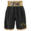 TWO KINGS ABC CUSTOM BOXING SHORTS