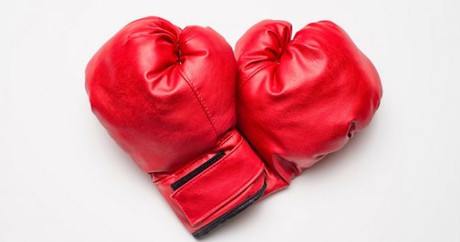 8 Things You’ll Know If You Date a Boxer