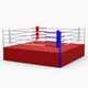 18FT SPLIT LEVEL COMPETITION RING