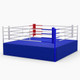 16FT SPLIT LEVEL COMPETITION RING