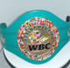 WBC Mini Championship Belt