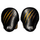 CLETO REYES HIGH PERFORMANCE PUNCH MITTS