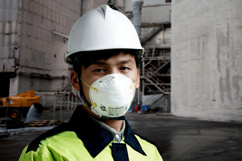 Mask Particulate Repirator P2 - 8210