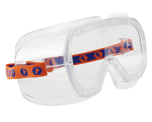 ProChoice Safety Goggles