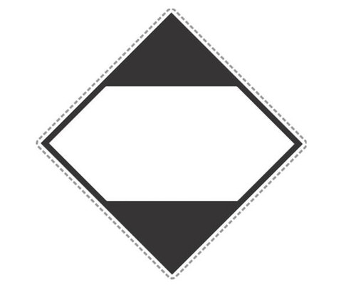 Label DGLQ 50x48mm 500/Roll