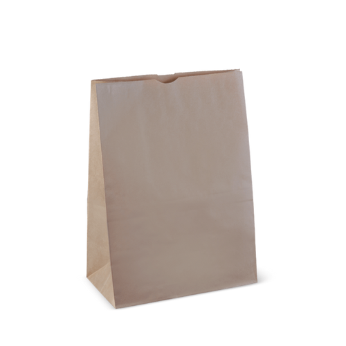 Checkout Bag Small - 300x260x135mm - 250/Pk
