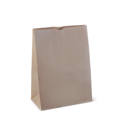 Checkout Bag Small - 300x260x135mm - 250/Pk