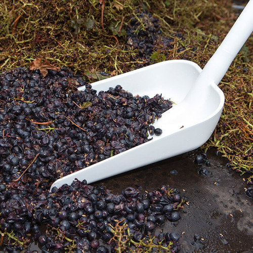 Vikan Ergonomic Shovel, Long Handle, Small Blade