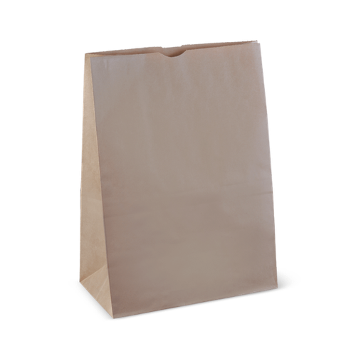 Paper Bag No Handle 430 x 305 x 175 250Pc/Ctn