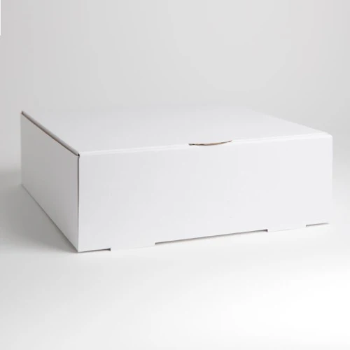 Cake Box 255x255x100mm 100Pkt