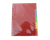 Cardboard Dividers A4 10 Tab Coloured