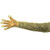 PE Vet Full Arm Glove Clear 83cm 2000/Ctn