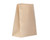 Paper Bag