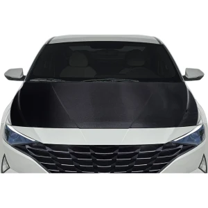 2021-2023 Hyundai Elantra OEM Look Hood - 1 Piece - image 1