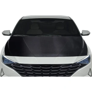 2021-2023 Hyundai Elantra OEM Look Carbon Fiber Hood - image 1