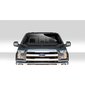 2015-2020 Ford F150 GT500 Hood - image 1