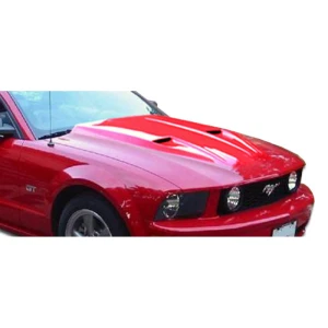 2005-2009 Ford Mustang Mach 1 Hood - image 1