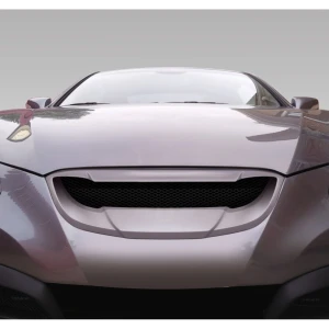2010-2012 Hyundai Genesis RS-1 Grille - image 1