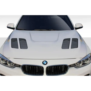 2012-2018 BMW 3 Series GTR Hood - image 1