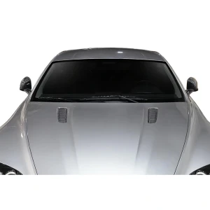 2006-2017 Aston Martin Vantage AF-1 Carbon Fiber Accessory - image 1