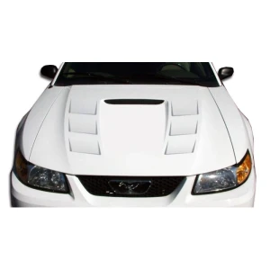 1999-2004 Ford Mustang Demon Hood - image 1