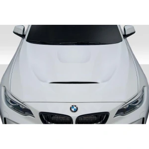 2014-2021 BMW 2 Series GTS Hood - image 1
