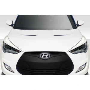 2012-2017 Hyundai Veloster Raptor Accessory - image 1