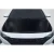 2021-2025 Hyundai Elantra Kima Hood - 1 Piece - image 1