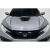 2017-2021 Honda Civic Type R OEM Look Hood Scoop - 1 Piece - image 1
