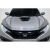 2017-2021 Honda Civic Type R OEM Look Hood Scoop - 1 Piece - image 2