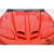 1998-2002 Pontiac Firebird Trans Am WS-6 Hood - 1 Piece - image 7