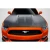 2015-2017 Ford Mustang GT500 V2 Hood - 1 Piece - image 1