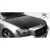 2005-2007 Dodge Magnum Executive Hood - image 4