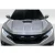 2017-2021 Honda Civic TypeR EVS Hood - 1 Piece - image 1