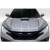 2017-2021 Honda Civic TypeR EVS Hood - 1 Piece - image 1