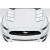 2015-2017 Ford Mustang TS 1 Hood - 1 Piece (S) - image 1