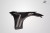 2003-2008 Nissan 350Z Z33 Carbon Creations AMS GT3 Front Fenders 2 Piece