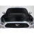 2015-2017 Ford Mustang R Spec Carbon Fiber Hood - image 1