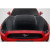2015-2017 Ford Mustang TS 1 Hood - 1 Piece (S) - image 1