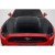 2015-2017 Ford Mustang TS 1 Hood - 1 Piece (S) - image 1
