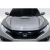 2016-2021 Honda Civic Type R Look Hood - image 1
