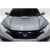 2016-2021 Honda Civic Type R Look Hood - image 3
