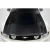 2005-2009 Ford Mustang GTH Carbon Fiber Hood - image 1