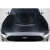 2018-2023 Ford Mustang Interceptor Carbon Fiber Hood - image 1