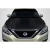 2017-2019 Nissan Sentra OEM Look Hood - 1 Piece - image 1