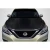 2017-2019 Nissan Sentra OEM Look Carbon Fiber Hood - image 1